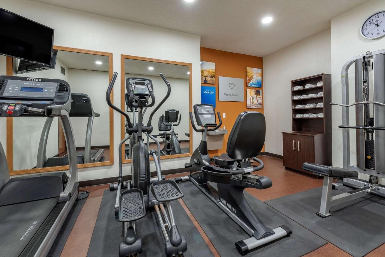 Comfort Suites Auburn Near I-69 מראה חיצוני תמונה