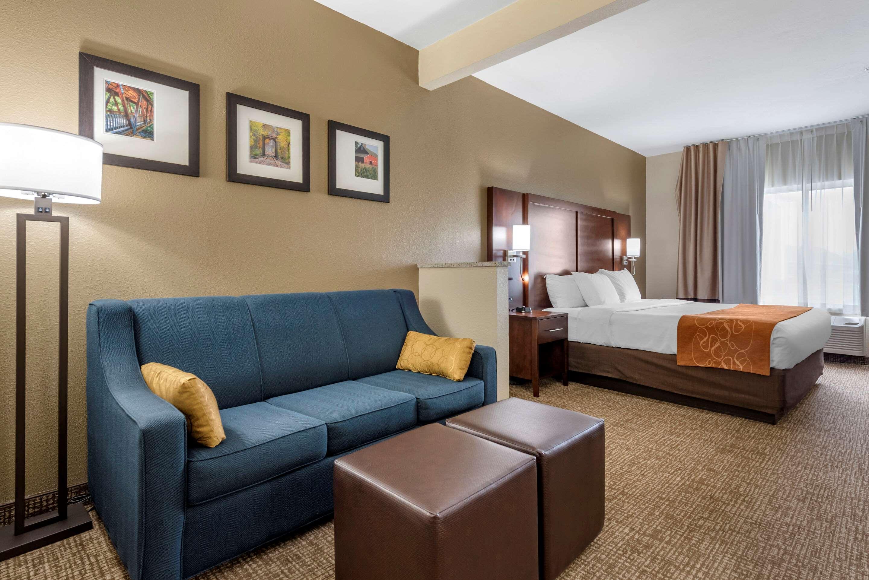 Comfort Suites Auburn Near I-69 מראה חיצוני תמונה