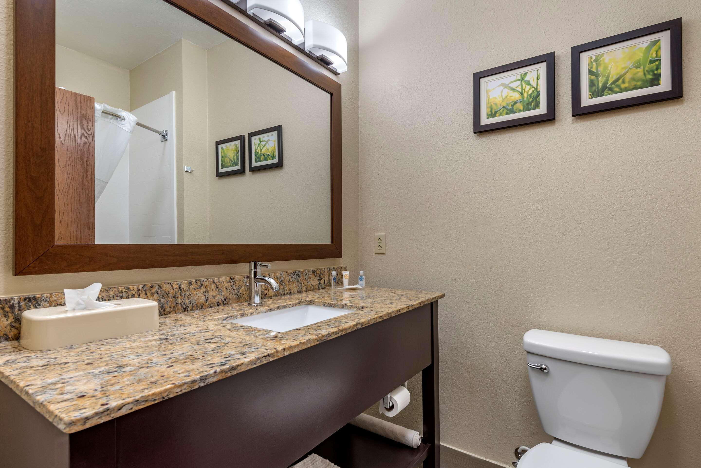 Comfort Suites Auburn Near I-69 מראה חיצוני תמונה