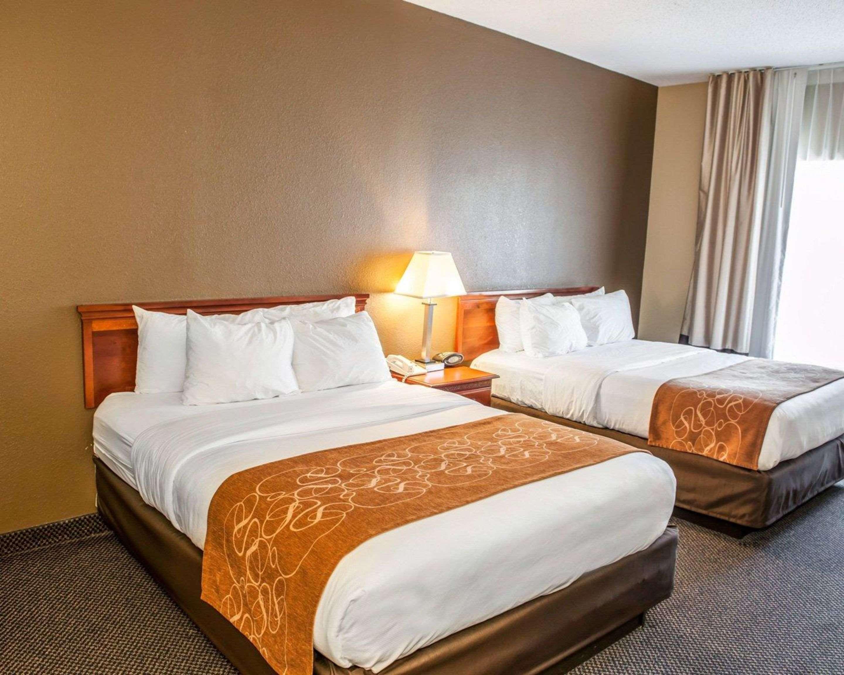 Comfort Suites Auburn Near I-69 מראה חיצוני תמונה